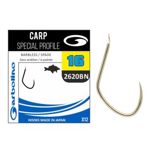 Hameçon carp